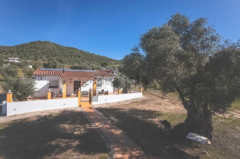 Casa Rural Los Naranjo Херес де лос Кабайерос Екстериор снимка
